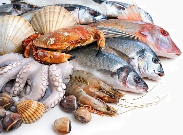 Cold Couriers Brisbane.