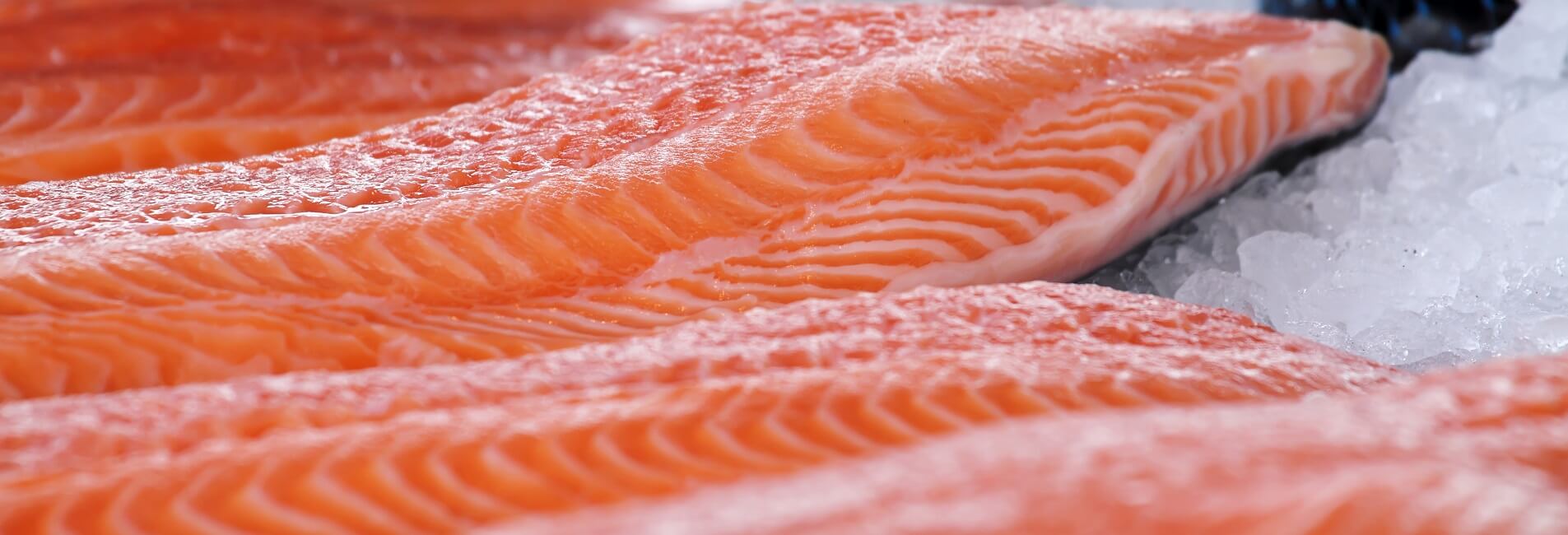 Overnight Cold Couriers